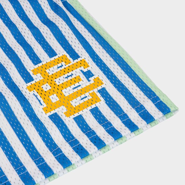 Eric Emanuel Basic Stripe Shorts Multicolor